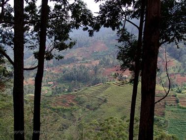 Bandarawela,_World`s_End,_DSC07050B_H600